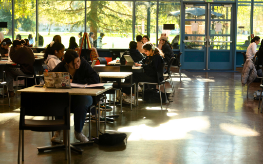 Students studying at the CoHo