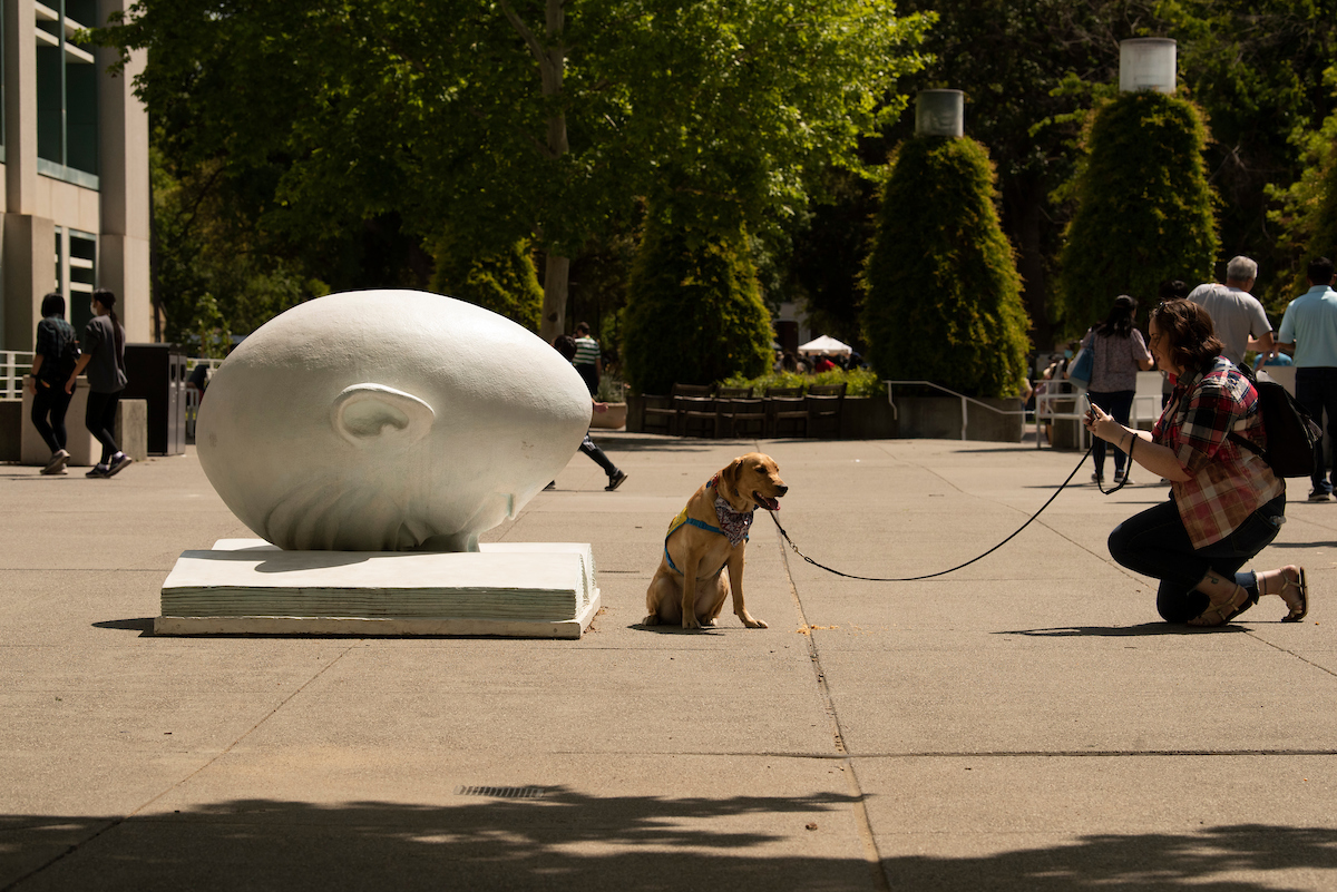 A dog gets a picture with the Bookhead