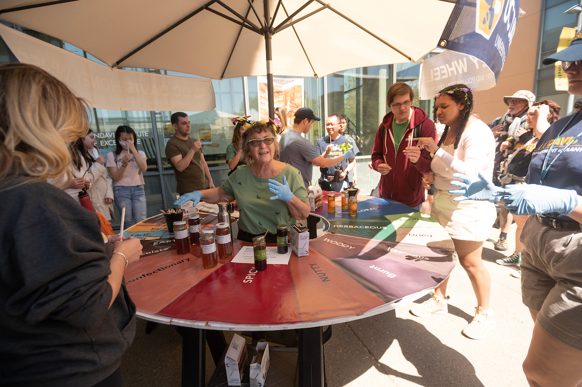 Visitors try different kinds of honey at Picnic Day, 2023