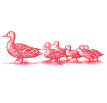 ducks drawing