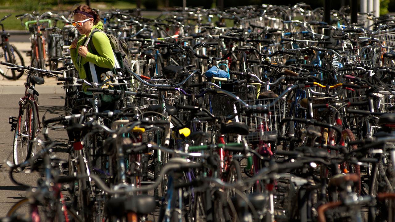 (Gregory Urquiaga/UC Davis) full racks