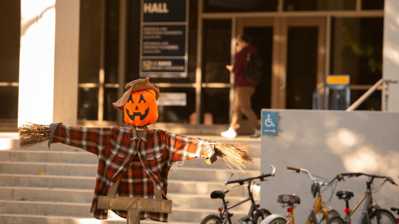 (Gregory Urquiaga/UC Davis) Scarecrow at Halloween in front of Bainer Hall