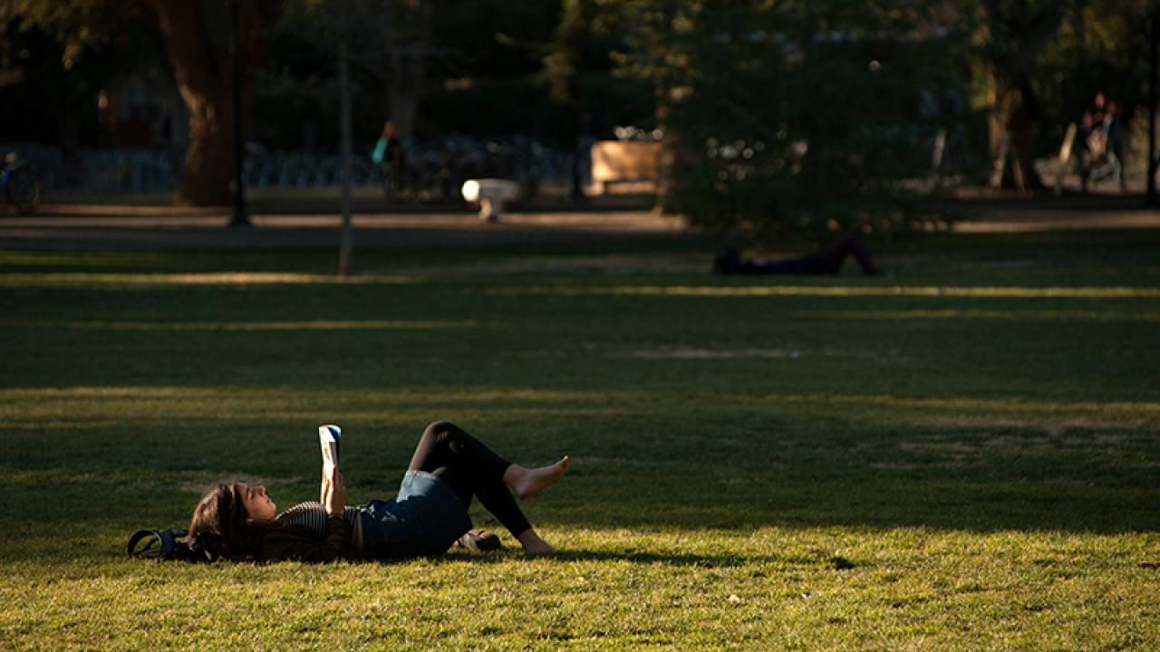 Student reading on the Quad
