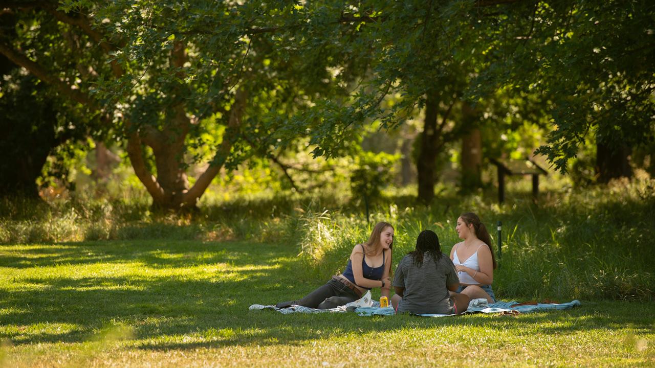 Picnicking in the Arboretum
