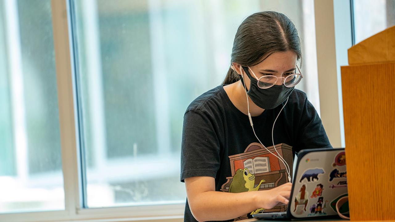 Student studying at Shields Library