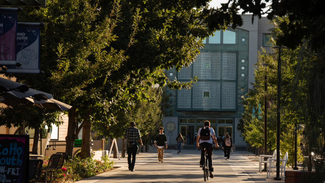 Shields Library Exterior