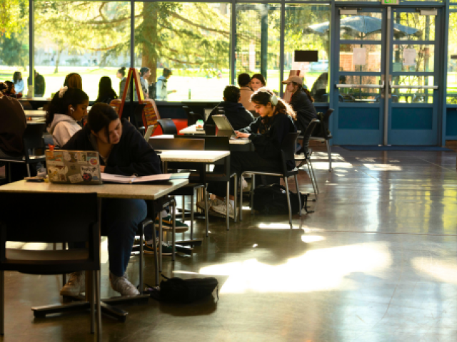 Students studying at the CoHo