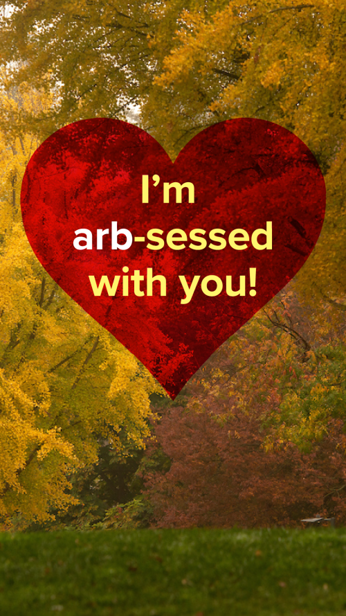 Valentine's Day Arboretum card