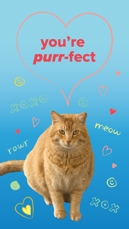 Valentine's Day Cheeto card