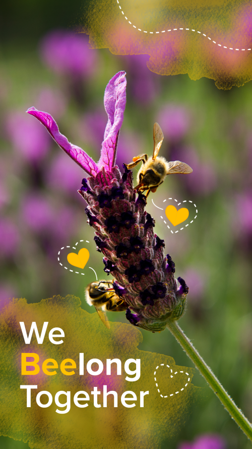 Valentine's Card saying "We Beelong Together"