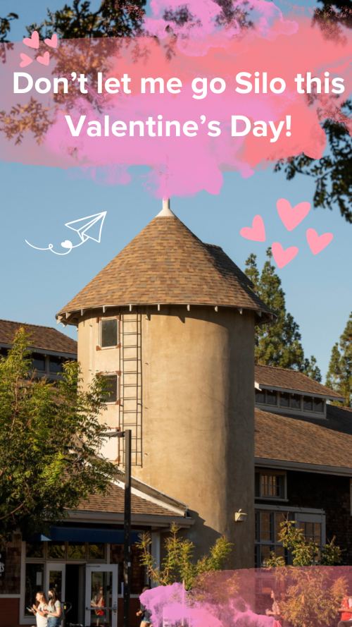 Valentine's Card saying "Don't let me go Silo this valentines day"