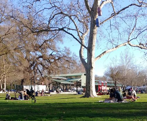 Central Park in Davis, CA