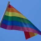 Rainbow flag