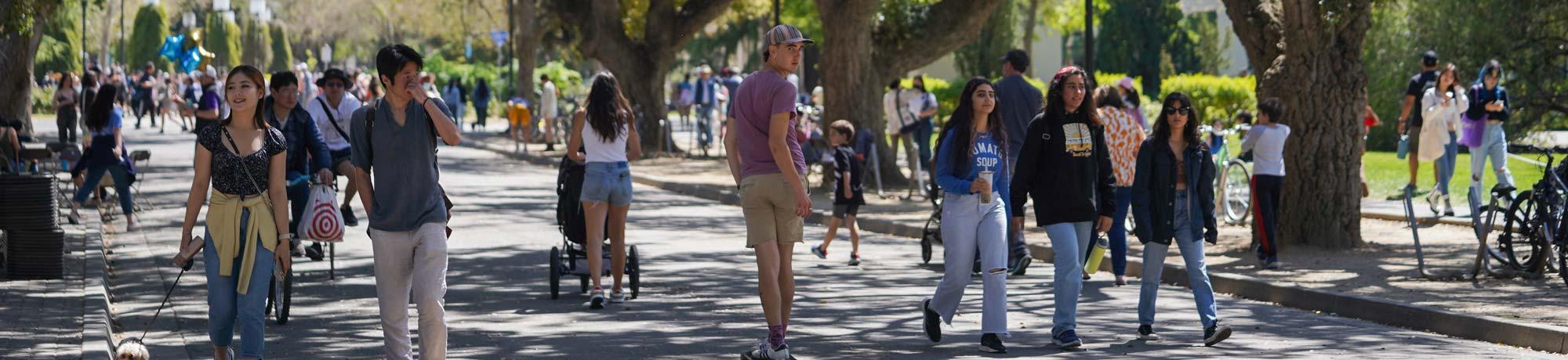 students walking on campus