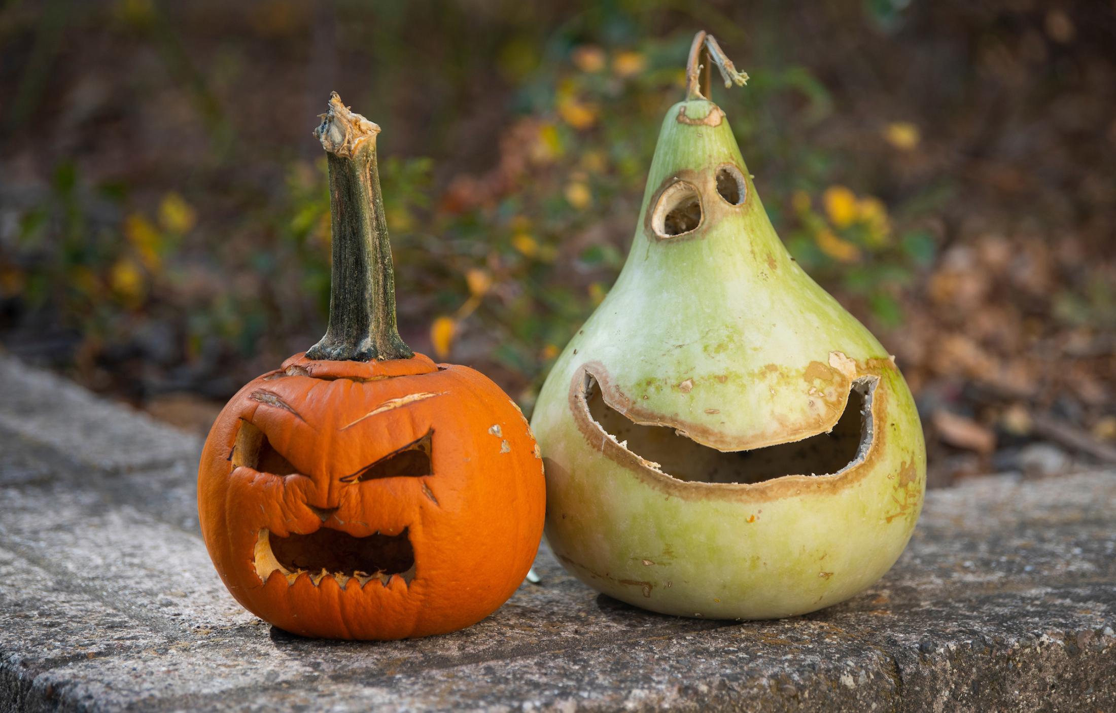 Jack-o-lanterns