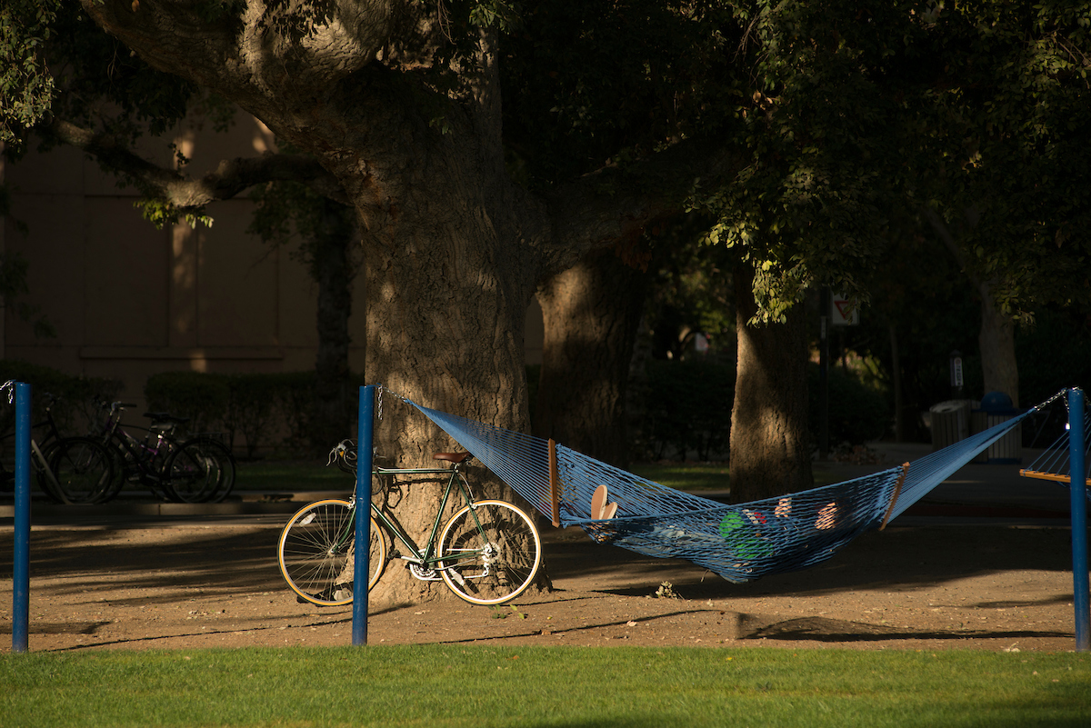 A student relaxes in a hammock in the Quad