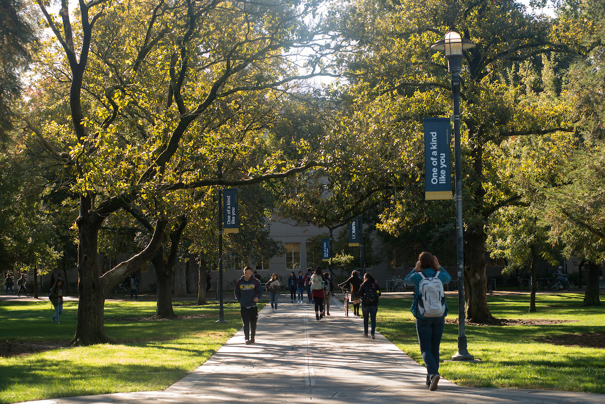 Students walk down the Centennial Walk in the Quad