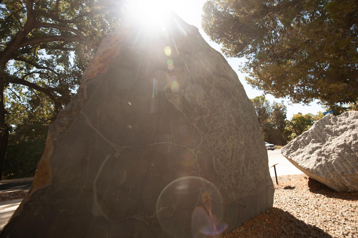 a rock sample at the UC Davis rock garden