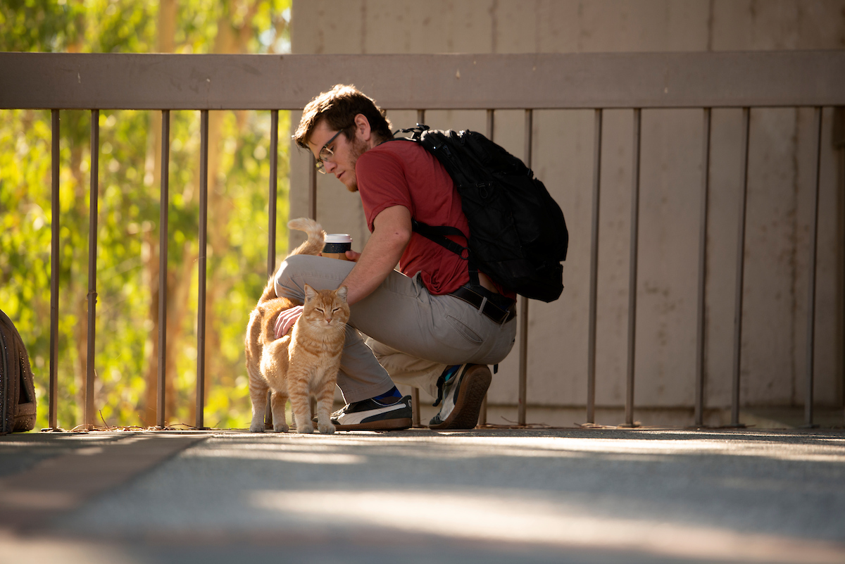 A student pets Cheeto, the campus Physics Building cat