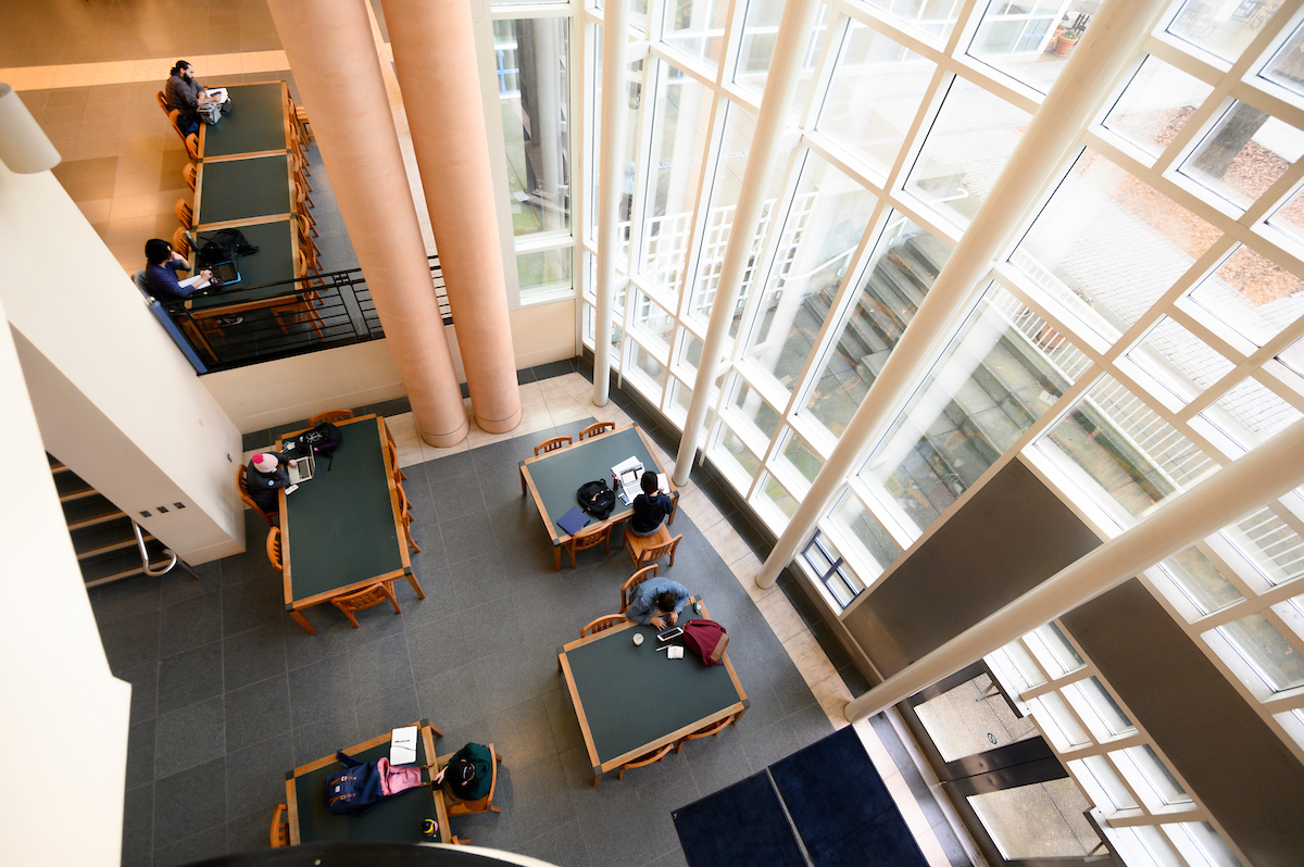 Students study in Shields Library