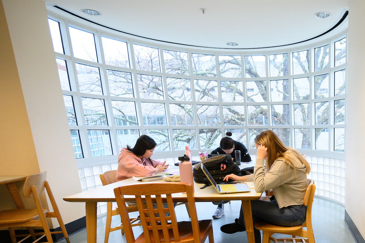 Students study in Shields Library