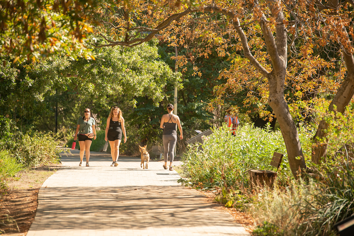 People walk in the Arboretum 