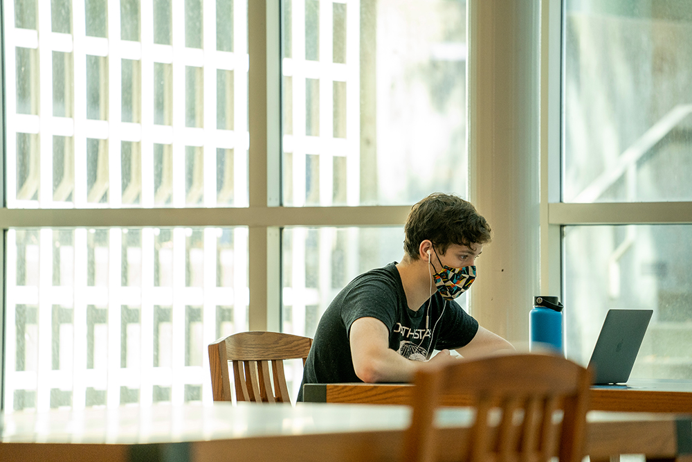 Student studying at Shields Library