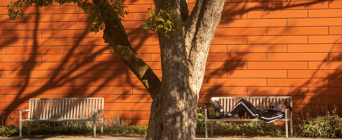 Student resting on a bench