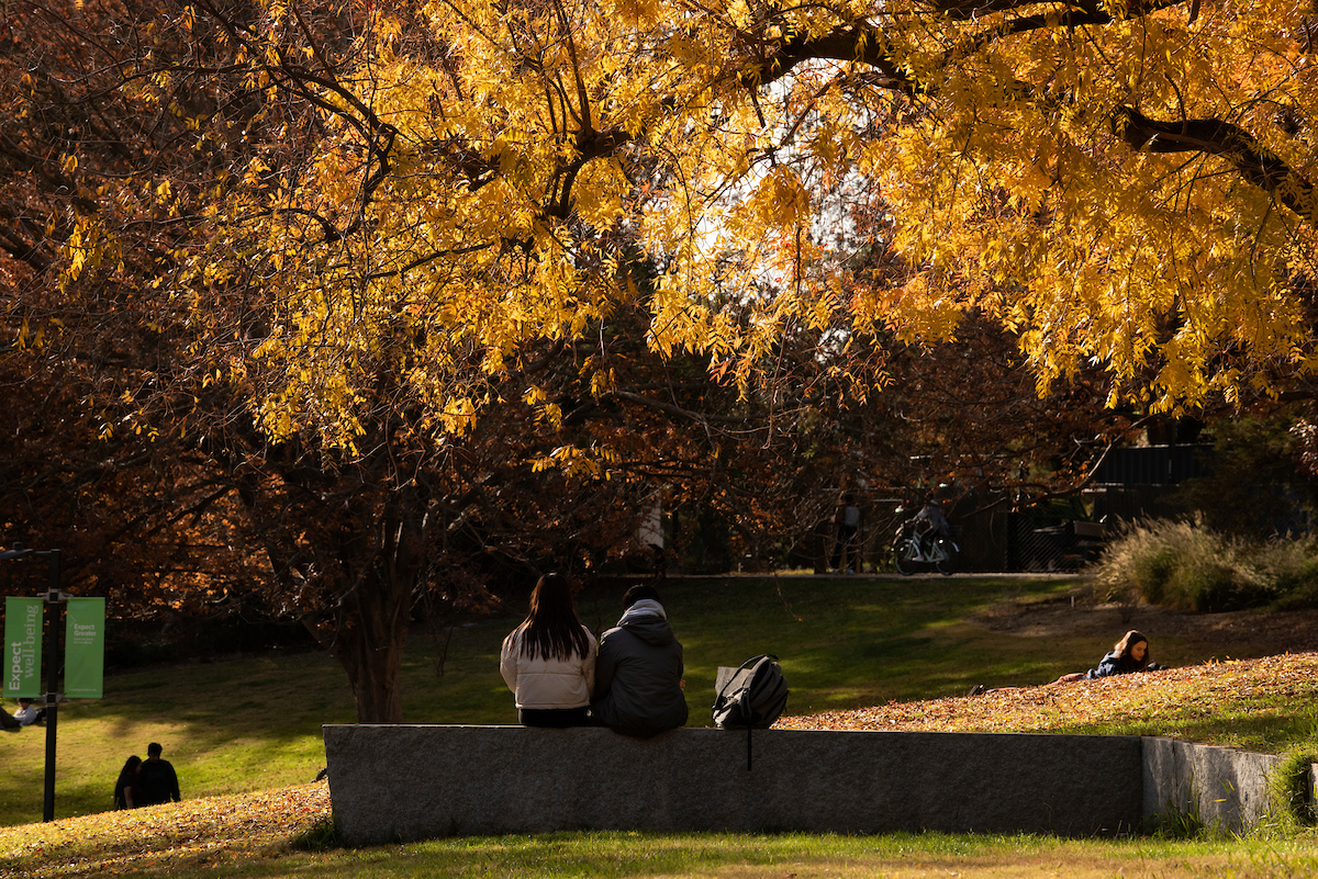 Two students sit under trees with fall colors