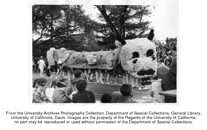 A cow float made up of people, 1968