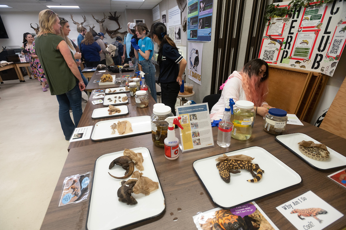 Museum of Wildlife, Fish, and Biology at Picnic Day, 2023