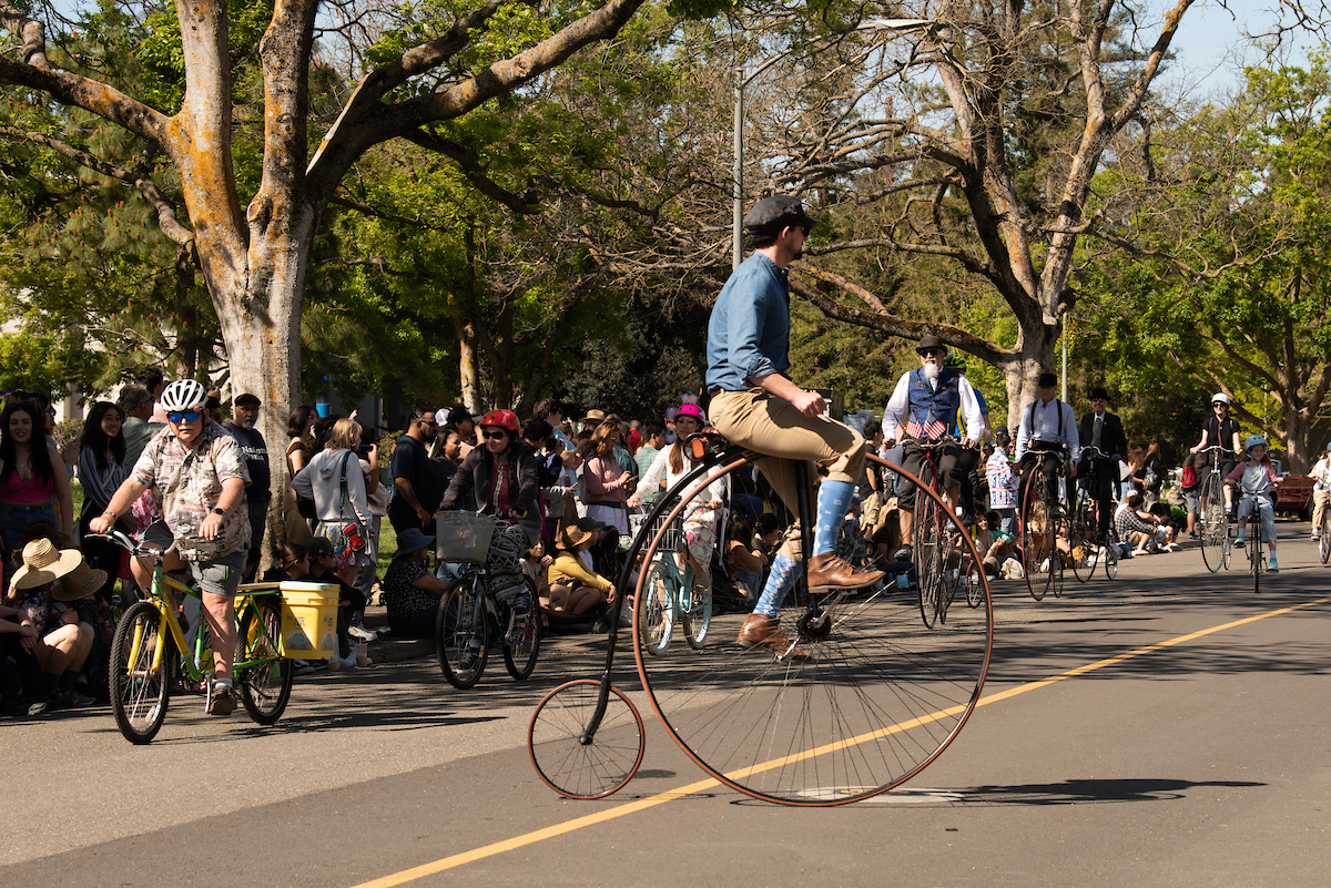 People on pennyfarthing bikes ride through the parade, 2023