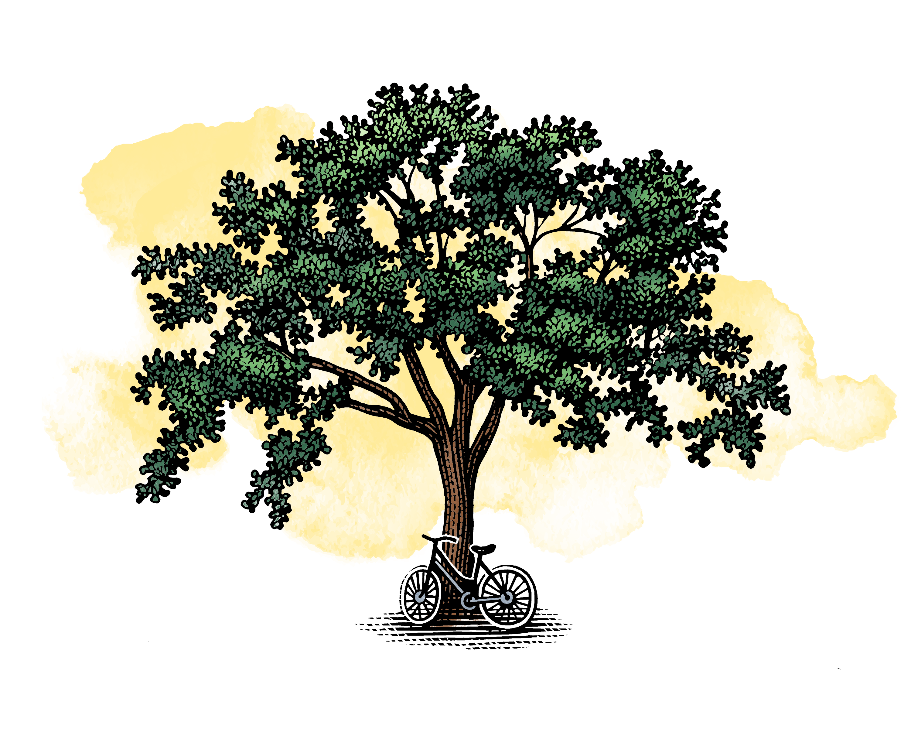 tree bicycle noble color graphic