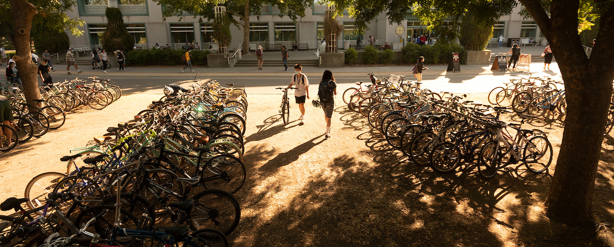 Bikes in front of Shields Library