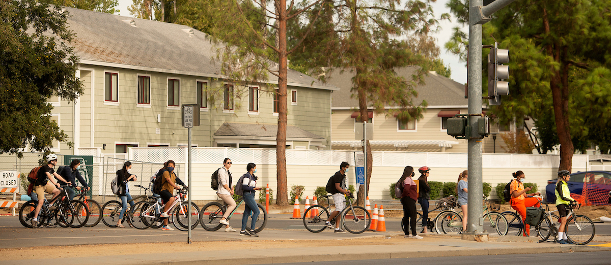 Campus bustle with bikes