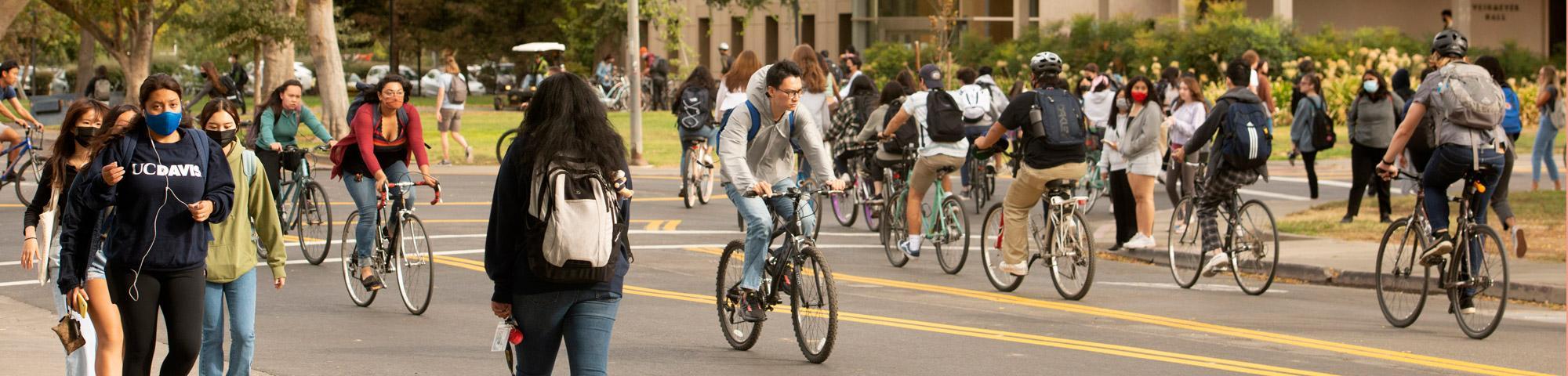 UC Davis students on bikes