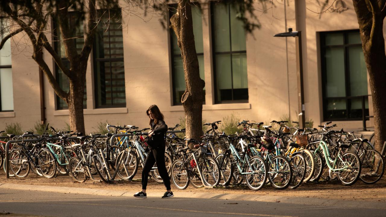 Bikes in front of Shields Library