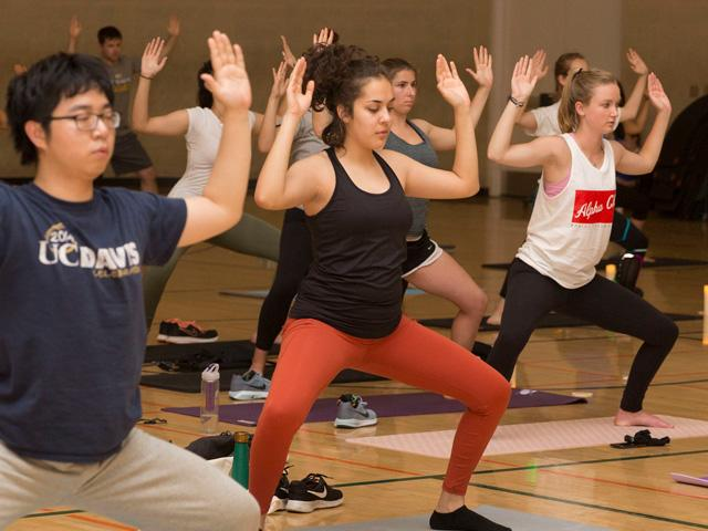 Students participating in a yoga class