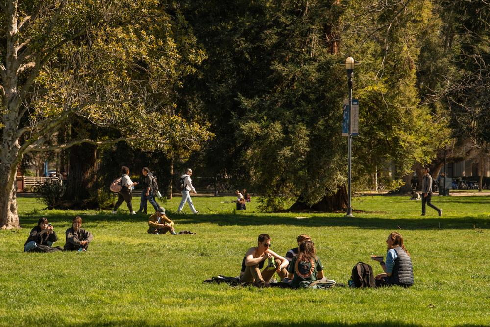 Students sit on the grass in the quad