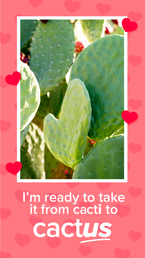 Valentines 2023 - Cactus