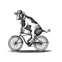 Black and white illustration of a cow on a bike