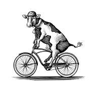 cow bike illustration