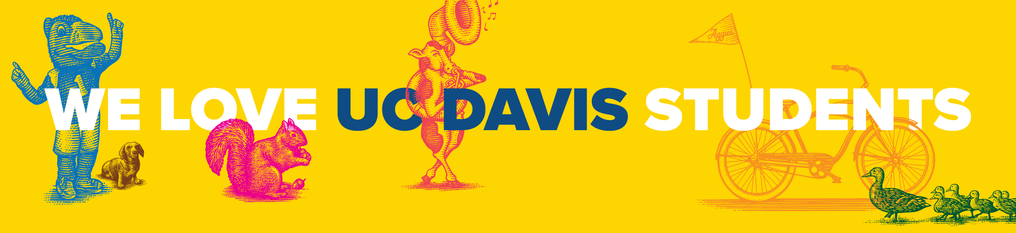 We love UC Davis Students decorative banner